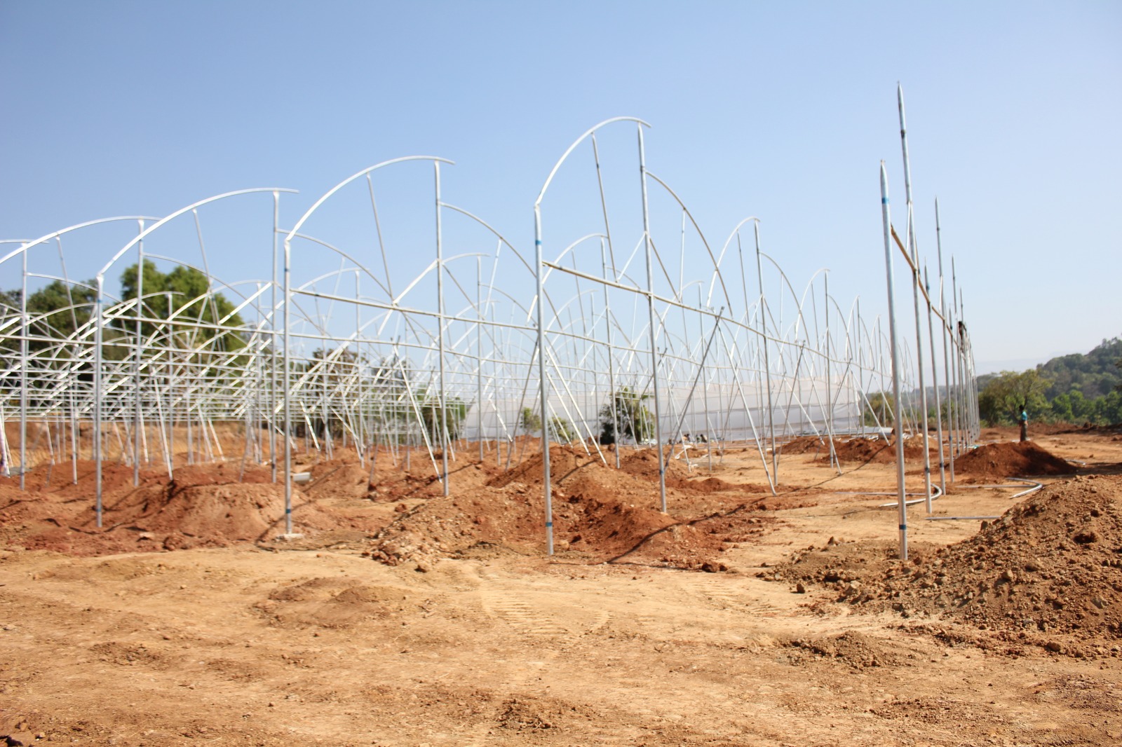 Greenhouse Project 16